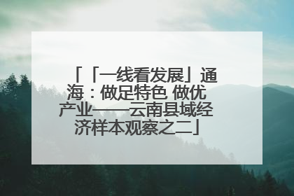「一线看发展」通海：做足特色 做优产业——云南县域经济样本观察之二