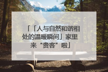 「人与自然和谐相处的温暖瞬间」家里来“贵客”啦