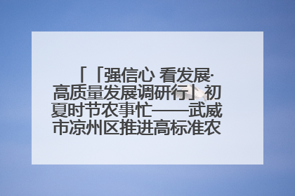「强信心 看发展·高质量发展调研行」初夏时节农事忙——武威市凉州区推进高标准农田建设见闻