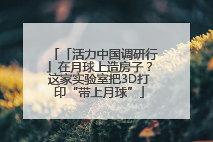 「活力中国调研行」在月球上造房子？这家实验室把3D打印“带上月球”