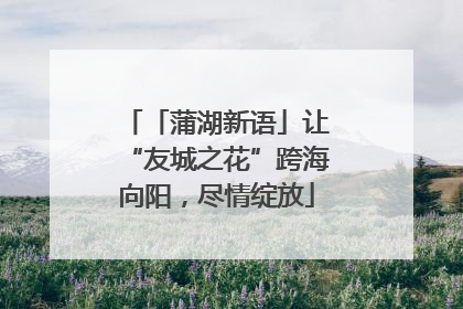 「蒲湖新语」让“友城之花”跨海向阳，尽情绽放