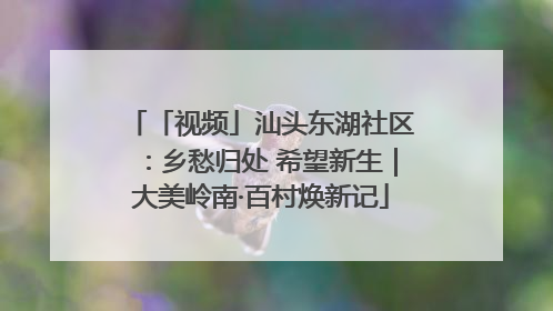 「视频」汕头东湖社区：乡愁归处 希望新生｜大美岭南·百村焕新记