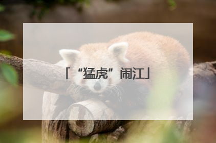 “猛虎”闹江