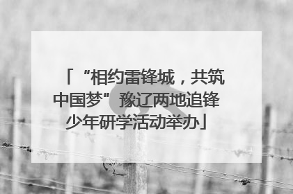 “相约雷锋城，共筑中国梦”豫辽两地追锋少年研学活动举办
