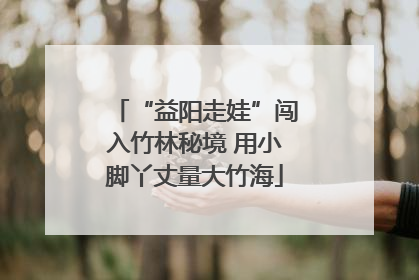 “益阳走娃”闯入竹林秘境 用小脚丫丈量大竹海