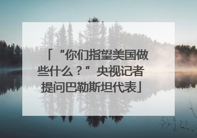 “你们指望美国做些什么？”央视记者提问巴勒斯坦代表