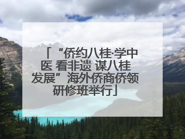 “侨约八桂·学中医 看非遗 谋八桂发展”海外侨商侨领研修班举行