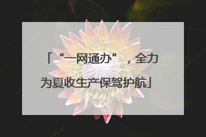 “一网通办”，全力为夏收生产保驾护航
