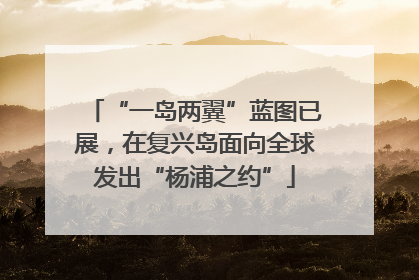 “一岛两翼”蓝图已展，在复兴岛面向全球发出“杨浦之约”