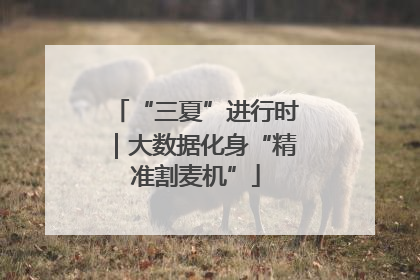 “三夏”进行时｜大数据化身“精准割麦机”