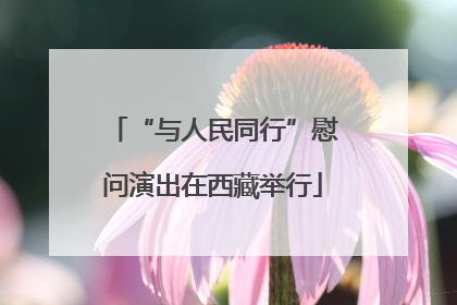 “与人民同行”慰问演出在西藏举行
