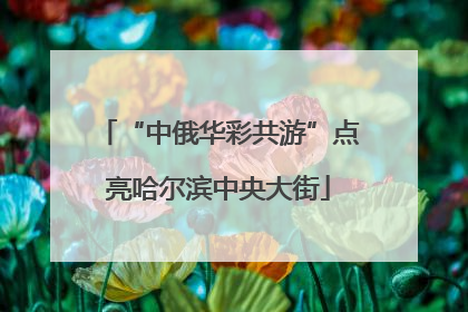 “中俄华彩共游”点亮哈尔滨中央大街