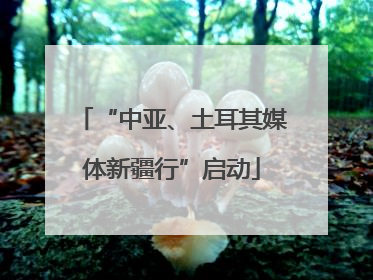“中亚、土耳其媒体新疆行”启动