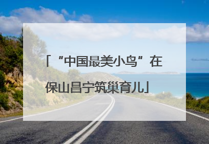 “中国最美小鸟”在保山昌宁筑巢育儿