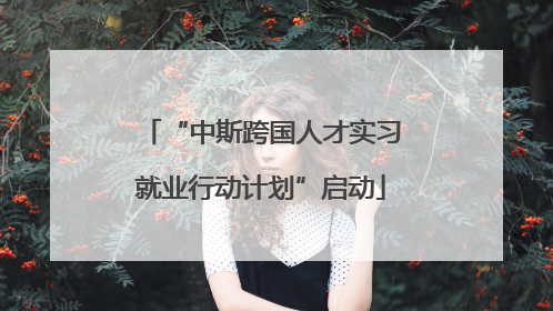 “中斯跨国人才实习就业行动计划”启动