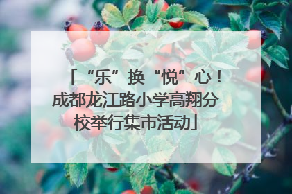 “乐”换“悦”心！成都龙江路小学高翔分校举行集市活动