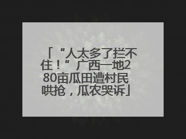 “人太多了拦不住！”广西一地280亩瓜田遭村民哄抢，瓜农哭诉