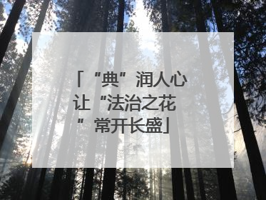 “典”润人心 让“法治之花”常开长盛