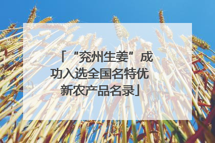 “兖州生姜”成功入选全国名特优新农产品名录