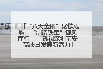 “八大金刚”聚链成势，“制造铁军”御风而行——透视深圳宝安高质量发展新活力