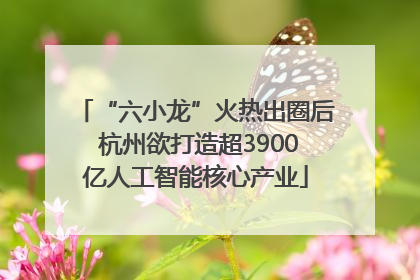 “六小龙”火热出圈后 杭州欲打造超3900亿人工智能核心产业