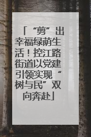 “剪”出幸福绿荫生活！控江路街道以党建引领实现“树与民”双向奔赴