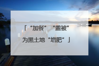 “加餐”“盖被” 为黑土地“增肥”