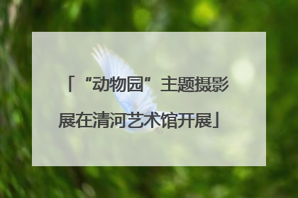 “动物园”主题摄影展在清河艺术馆开展