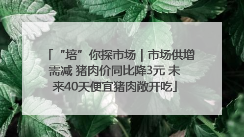“培”你探市场｜市场供增需减 猪肉价同比降3元 未来40天便宜猪肉敞开吃