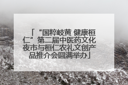 “国粹岐黄 健康桓仁”第二届中医药文化夜市与桓仁农礼文创产品推介会圆满举办