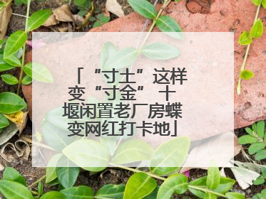 “寸土”这样变“寸金” 十堰闲置老厂房蝶变网红打卡地