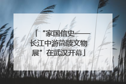 “家国信史——长江中游简牍文物展”在武汉开幕