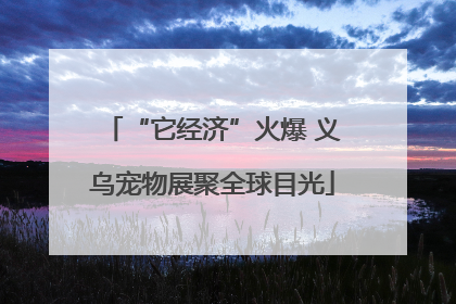 “它经济”火爆 义乌宠物展聚全球目光