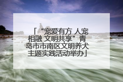 “宠爱有方 人宠相融 文明共享”青岛市市南区文明养犬主题实践活动举办