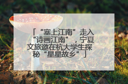 “塞上江南”走入“诗画江南”，宁夏文旅邀在杭大学生探秘“星星故乡”