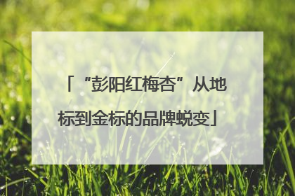 “彭阳红梅杏”从地标到金标的品牌蜕变