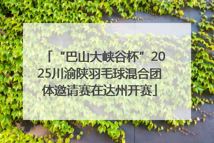 “巴山大峡谷杯”2025川渝陕羽毛球混合团体邀请赛在达州开赛