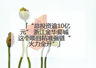 “总投资逾10亿元” 浙江金华婺城这个项目精准强链“火力全开”