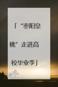 “枣阳皇桃”走进高校毕业季