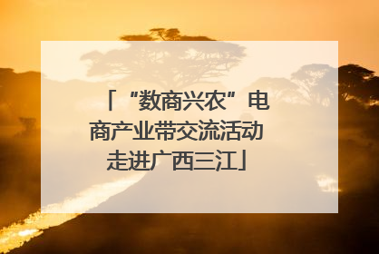 “数商兴农”电商产业带交流活动走进广西三江