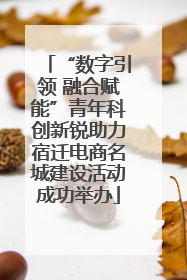 “数字引领 融合赋能”青年科创新锐助力宿迁电商名城建设活动成功举办