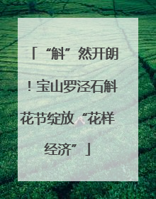 “斛”然开朗!宝山罗泾石斛花节绽放“花样经济”