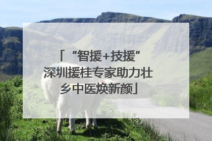 “智援+技援” 深圳援桂专家助力壮乡中医焕新颜