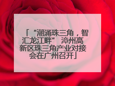 “潮涌珠三角，智汇龙江畔” 漳州高新区珠三角产业对接会在广州召开