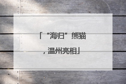 “海归”熊猫，温州亮相