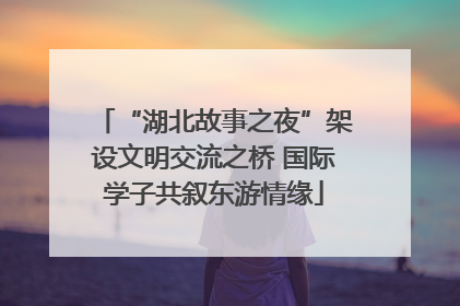 “湖北故事之夜”架设文明交流之桥 国际学子共叙东游情缘