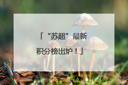 “苏超”最新积分榜出炉！
