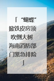 “蝴蝶”掀铁皮房顶吹倒大树 海南消防部门紧急排险
