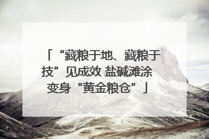 “藏粮于地、藏粮于技”见成效 盐碱滩涂变身“黄金粮仓”