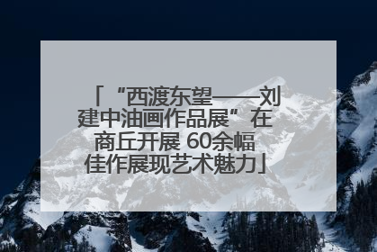 “西渡东望——刘建中油画作品展”在商丘开展 60余幅佳作展现艺术魅力
